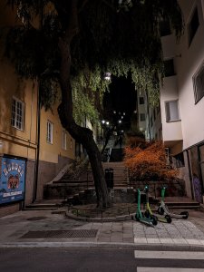 PXL_20211106_185054958.NIGHT~2.jpg