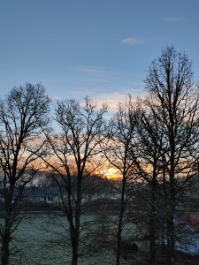 IMG_20211112_080305.jpg