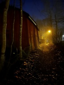 6E80F9C0-CFCE-456A-B167-1D81C991B86E.jpeg