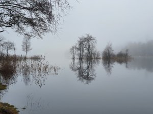 20211112_133439.jpg