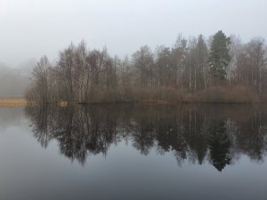 20211112_133834.jpg