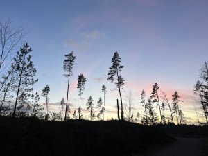 0EB154F3-F61F-4899-AE5E-430A2E007BEF.jpeg