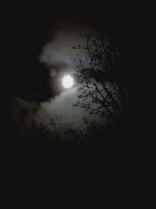 IMG_20211114_181707.jpg