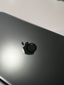 Apple repa.jpg