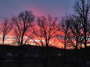 IMG_20211118_074847.jpg