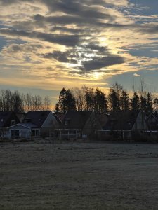 9BC5C824-FD74-4EF1-B638-64DE66F633AD.jpeg