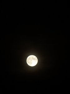 PXL_20211119_155222141.jpg