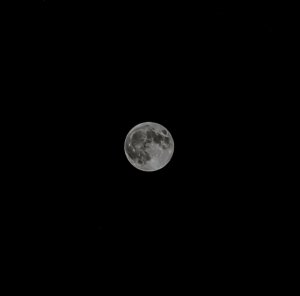 PXL_20211119_160733461.NIGHT~2.jpg
