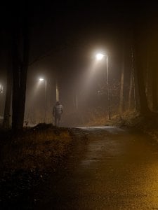 PXL_20211119_050613149.NIGHT.jpg