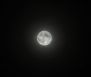 PXL_20211119_163419464~2.jpg