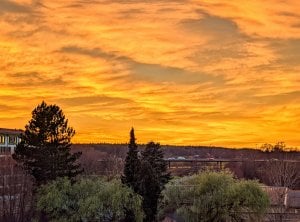 PXL_20211119_142814486.NIGHT~3.jpg