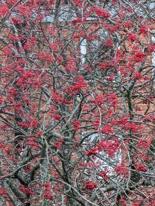 PXL_20211120_115313697.jpg