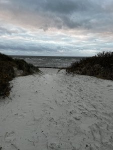 8905A0EB-1B00-4F3A-BB6C-AEC5ED382570.jpeg