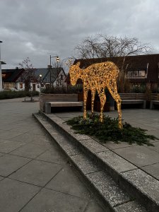 0E62301E-5D6D-466C-9653-A6F28F1E656B.jpeg