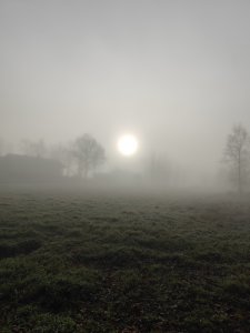 IMG_20211123_102835.jpg