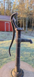 IMG_20211122_090934.jpg
