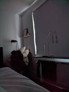 PXL_20211126_070912014.NIGHT.jpg