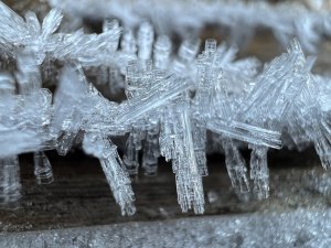 IMG_1663.jpg