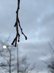 PXL_20211128_142939575.jpg