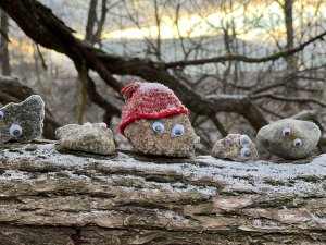 955F0C7E-4CCE-46EF-A75A-3D8056D6E292.jpeg