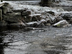 13E15D29-E15F-4ED5-A66F-4085D72440D0.jpeg