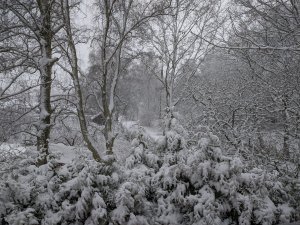PXL_20211130_081509160.jpg