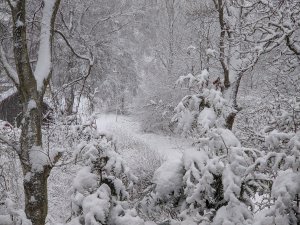 PXL_20211130_081533982.jpg