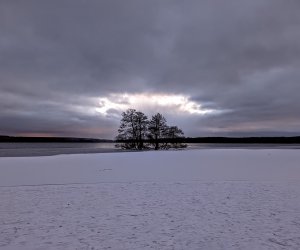 PXL_20211205_143542020~2.jpg