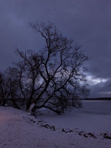 PXL_20211205_143250619.jpg