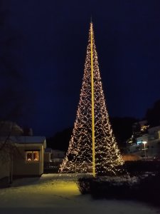 IMG_20211208_161021.jpg