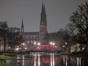 PXL_20211210_194121079.NIGHT~2.jpg