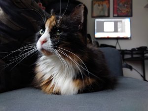 20211210_115624.JPG