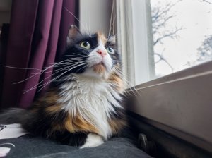 20211210_094203.jpg