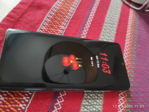 IMG_20211212_110351.jpg