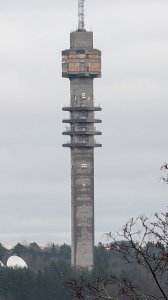 PXL_20211211_123937304.jpg