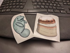 IMG_14-12-2021_11-51-17_8.3.252.jpg