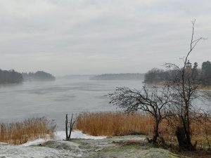 IMG_20211212_115714.jpg