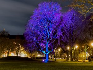 IMG_3288.jpg