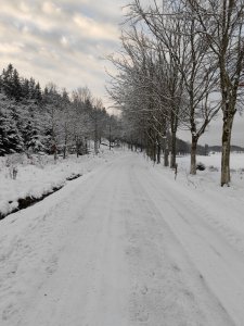 IMG_20211212_103914.jpg