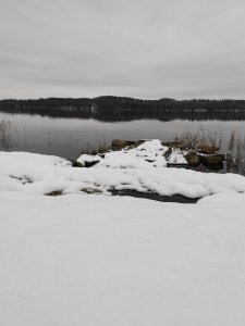 IMG_20211212_110008.jpg