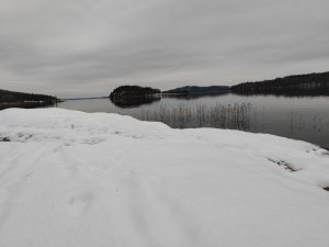 IMG_20211212_110013.jpg