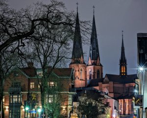 PXL_20211215_203903830.NIGHT~3.jpg