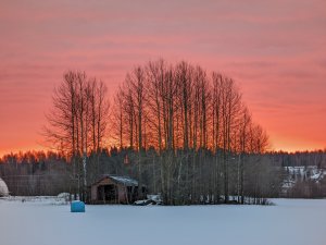 PXL_20211218_082307076.jpg