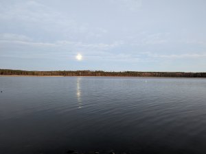 PXL_20211218_142406527.jpg