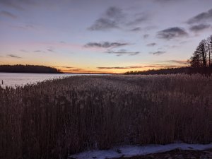 PXL_20211218_142356210.jpg