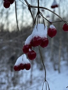 64423193-11CE-4975-9BC0-B97C12443FCE.jpeg