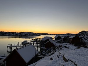 5A1FE0AB-1F16-4A77-A8D6-24B880DC079A_1_100_o.jpeg