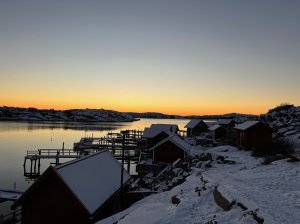 E62D22AE-F83E-4F7A-B8B6-1E354C268B76.jpeg