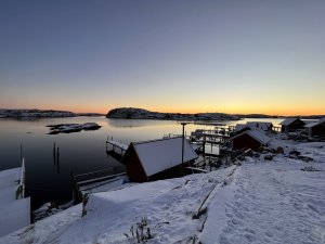 BB58C87B-D10E-4FF6-976B-D929F5814061_1_100_o.jpeg