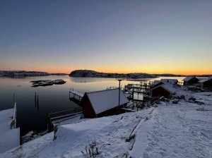 C710A91D-FF8B-425E-AA27-F0A6932ABE1C.jpeg
